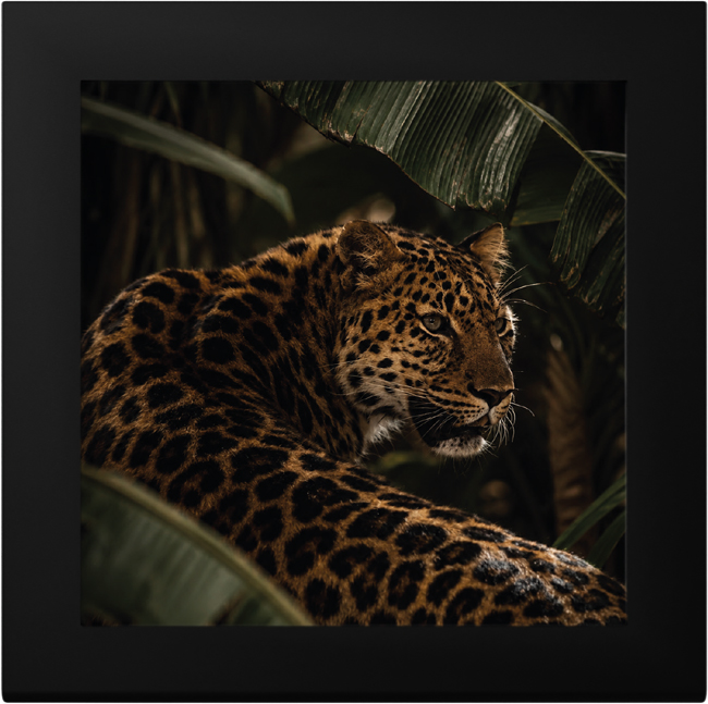 Leopard 2026, stříbrná obdélníková mince v etuji, 3 oz