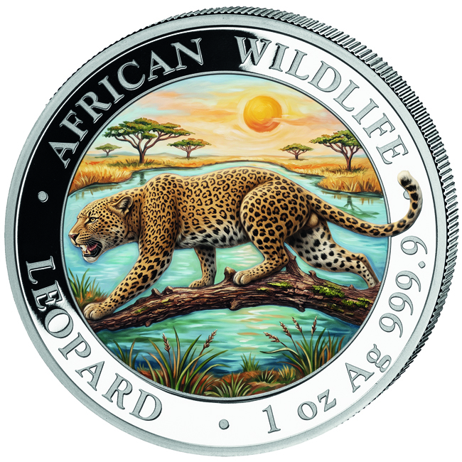 Africká divočina: Leopard 2026 v barvě, stříbrná mince v kapsli, 1 oz