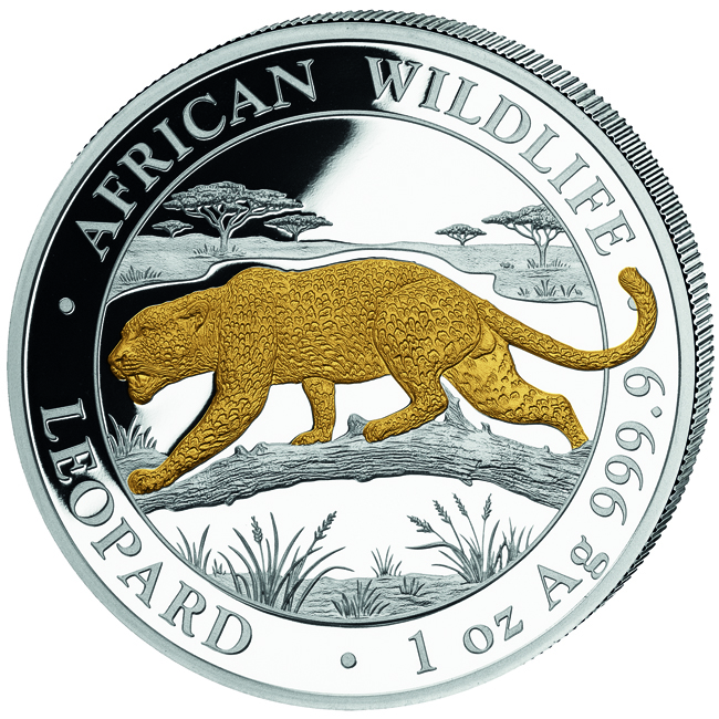 Africká divočina: Leopard 2026 pozlaceno, stříbrná mince v kapsli, 1 oz