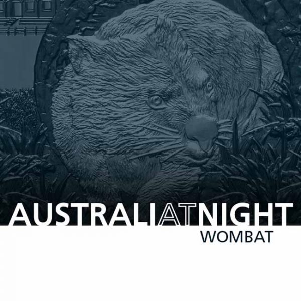 1 dolar Stříbrná mince Austrálie v noci: Wombat