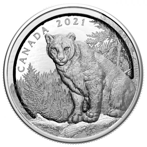 50 dolar Stříbrná mince 3D Puma - Světová premiéra!
